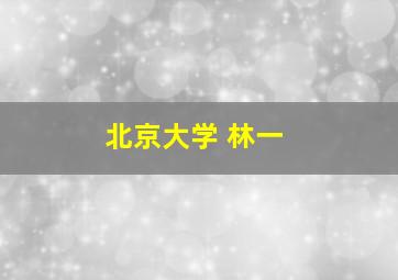 北京大学 林一